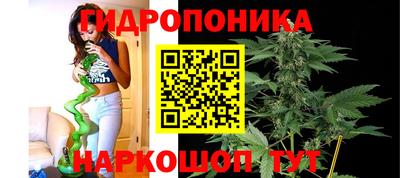 марки nbome Гусев