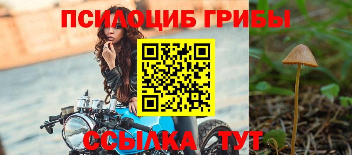 Псилоцибиновые грибы мицелий  Галлюциногенные грибы Psilocybine cubensis  Можайск  Вход с VPN 